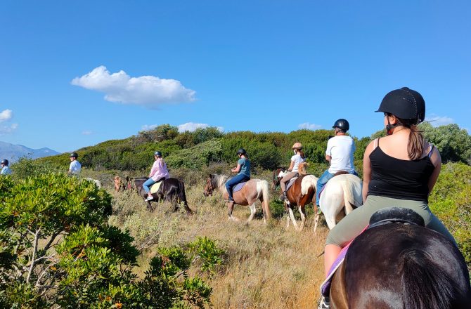 Corfu - Horseriding 2